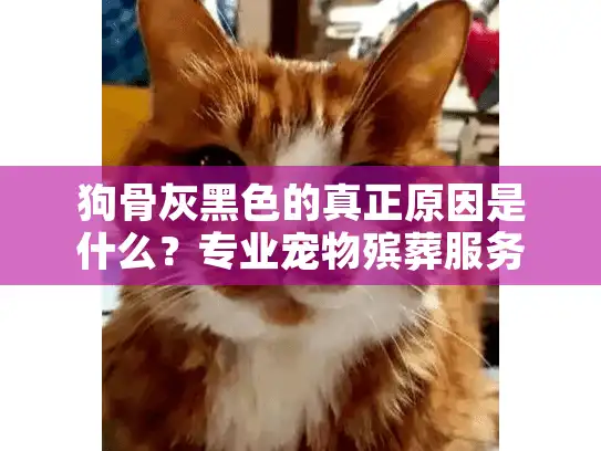 狗骨灰黑色的真正原因是什么?专业宠物殡葬服务指南 狗骨灰黑色的真正原因是什么?专业宠物殡葬服务指南