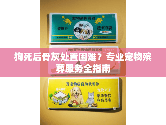 狗死后骨灰处置困难?专业宠物殡葬服务全指南 狗死后骨灰处置困难?专业宠物殡葬服务全指南