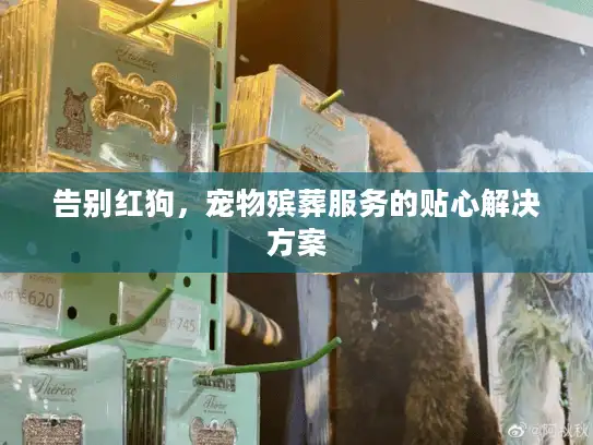 告别红狗，宠物殡葬服务的贴心解决方案
