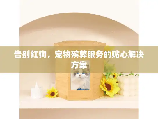 告别红狗，宠物殡葬服务的贴心解决方案