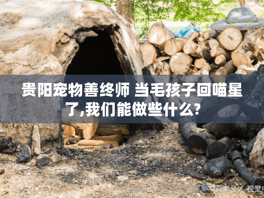 贵阳宠物善终师 当毛孩子回喵星了,我们能做些什么?