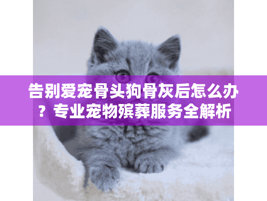 告别爱宠骨头狗骨灰后怎么办？专业宠物殡葬服务全解析