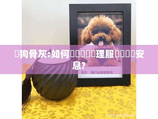 貓狗骨灰:如何選擇專業處理服務讓寶貝安息?