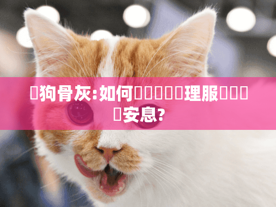 貓狗骨灰:如何選擇專業處理服務讓寶貝安息?