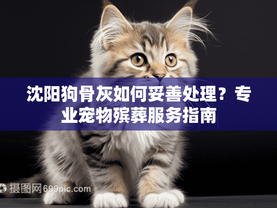 沈阳狗骨灰如何妥善处理？专业宠物殡葬服务指南