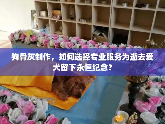 狗骨灰制作，如何选择专业服务为逝去爱犬留下永恒纪念？