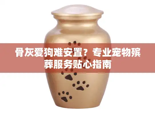 骨灰爱狗难安置？专业宠物殡葬服务贴心指南
