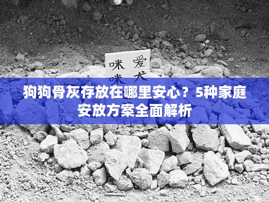 狗狗骨灰存放在哪里安心？5种家庭安放方案全面解析