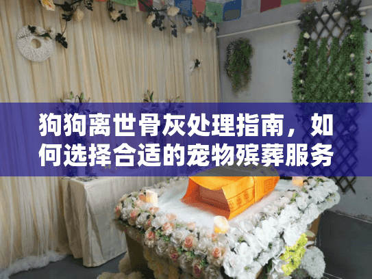 狗狗离世骨灰处理指南，如何选择合适的宠物殡葬服务