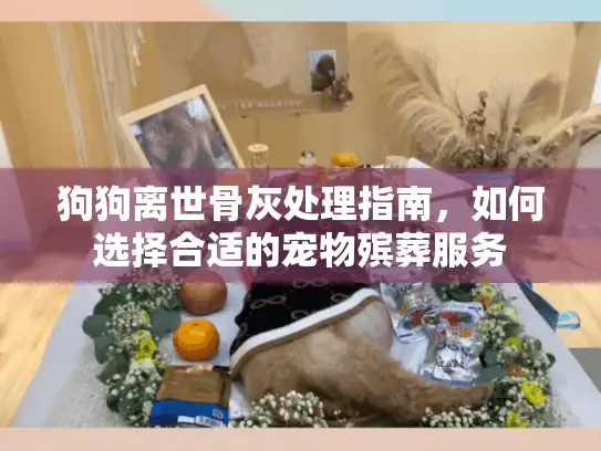 狗狗离世骨灰处理指南，如何选择合适的宠物殡葬服务