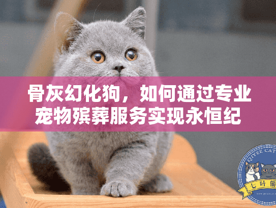 骨灰幻化狗，如何通过专业宠物殡葬服务实现永恒纪念？