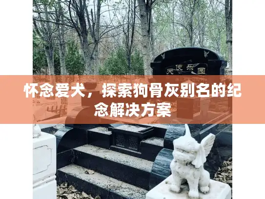 怀念爱犬,探索狗骨灰别名的纪念解决方案 怀念爱犬,探索狗骨灰别名的纪念解决方案