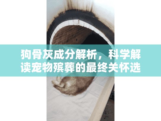 狗骨灰成分解析,科学解读宠物殡葬的最终关怀选择 狗骨灰成分解析,科学解读宠物殡葬的最终关怀选择