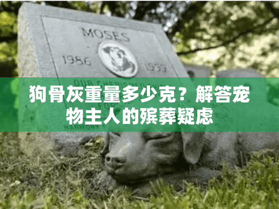 狗骨灰重量多少克？解答宠物主人的殡葬疑虑