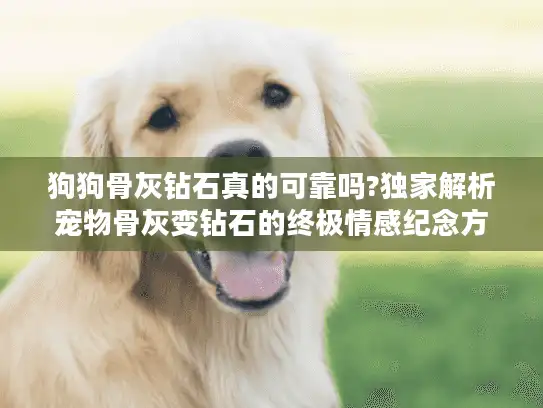 狗狗骨灰钻石真的可靠吗?独家解析宠物骨灰变钻石的终极情感纪念方案