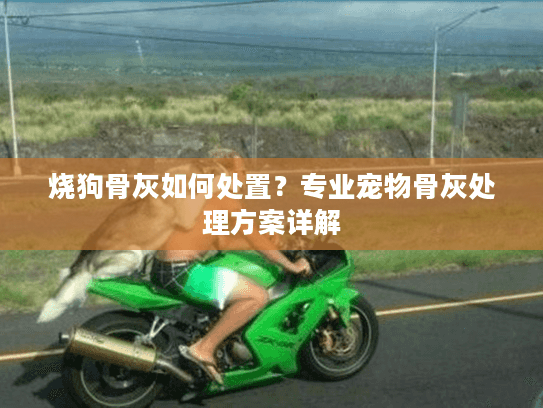 烧狗骨灰如何处置？专业宠物骨灰处理方案详解