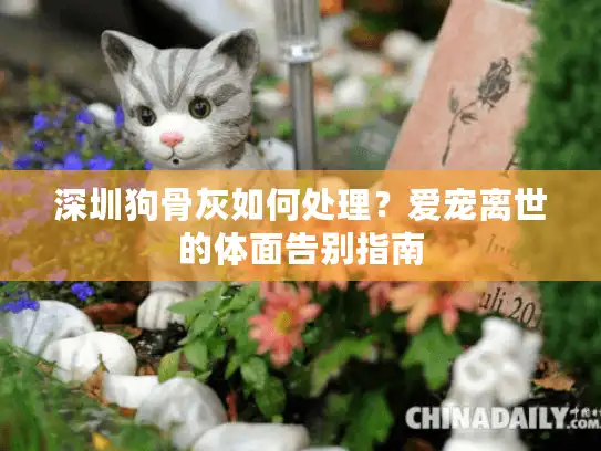 深圳狗骨灰如何处理?爱宠离世的体面告别指南 深圳狗骨灰如何处理?爱宠离世的体面告别指南