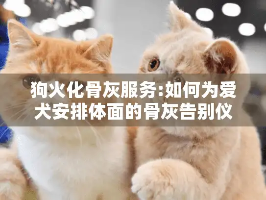 狗火化骨灰服务:如何为爱犬安排体面的骨灰告别仪式?