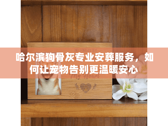 哈尔滨狗骨灰专业安葬服务，如何让宠物告别更温暖安心