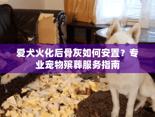 爱犬火化后骨灰如何安置？专业宠物殡葬服务指南