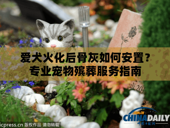 爱犬火化后骨灰如何安置？专业宠物殡葬服务指南