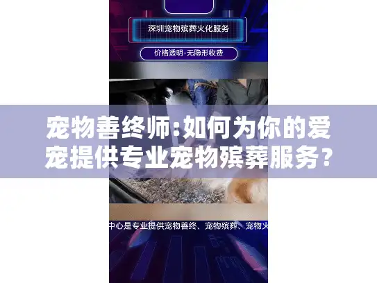 宠物善终师:如何为你的爱宠提供专业宠物殡葬服务? 宠物善终师:如何为你的爱宠提供专业宠物殡葬服务?
