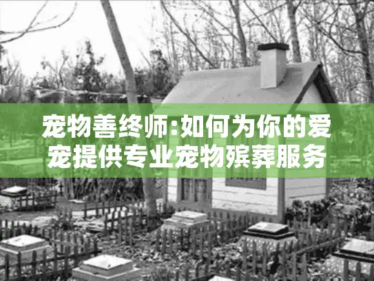 宠物善终师:如何为你的爱宠提供专业宠物殡葬服务? 宠物善终师:如何为你的爱宠提供专业宠物殡葬服务?