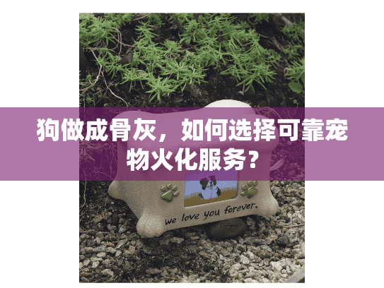 狗做成骨灰，如何选择可靠宠物火化服务？