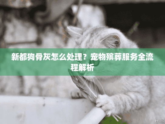 新都狗骨灰怎么处理？宠物殡葬服务全流程解析