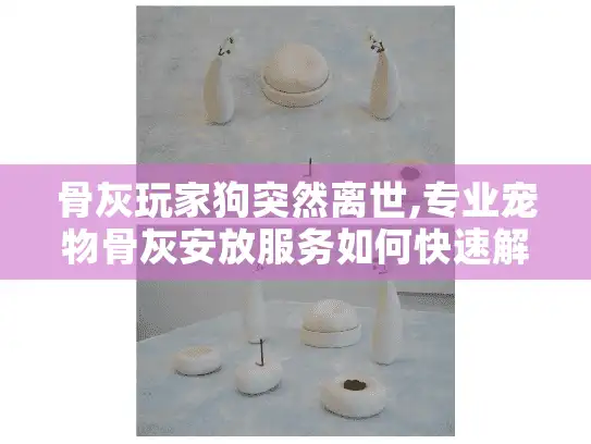 骨灰玩家狗突然离世,专业宠物骨灰安放服务如何快速解决痛点? 骨灰玩家狗突然离世,专业宠物骨灰安放服务如何快速解决痛点?
