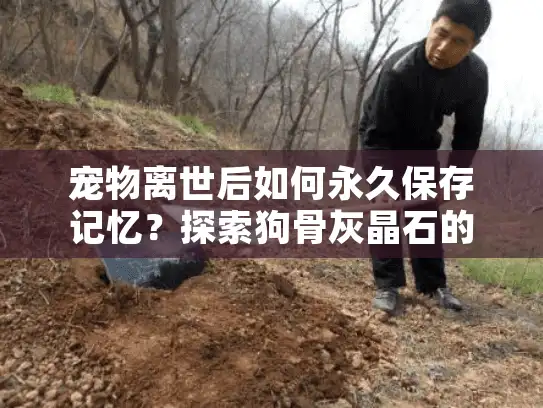 宠物离世后如何永久保存记忆?探索狗骨灰晶石的独特方案 宠物离世后如何永久保存记忆?探索狗骨灰晶石的独特方案