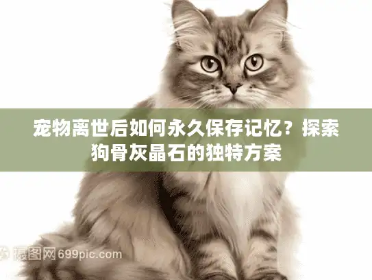 宠物离世后如何永久保存记忆?探索狗骨灰晶石的独特方案 宠物离世后如何永久保存记忆?探索狗骨灰晶石的独特方案