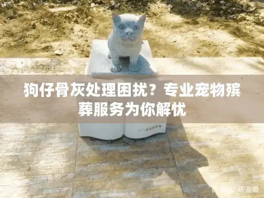 狗仔骨灰处理困扰?专业宠物殡葬服务为你解忧 狗仔骨灰处理困扰?专业宠物殡葬服务为你解忧