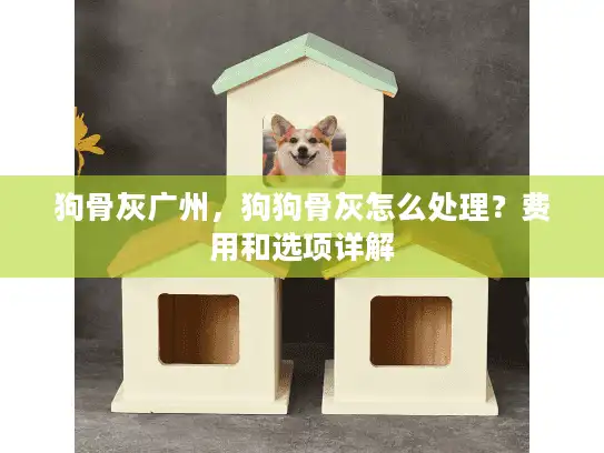 狗骨灰广州，狗狗骨灰怎么处理？费用和选项详解