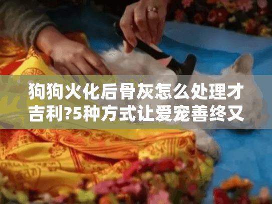 狗狗火化后骨灰怎么处理才吉利?5种方式让爱宠善终又心安 狗狗火化后骨灰怎么处理才吉利?5种方式让爱宠善终又心安
