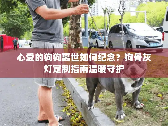心爱的狗狗离世如何纪念?狗骨灰灯定制指南温暖守护 心爱的狗狗离世如何纪念?狗骨灰灯定制指南温暖守护