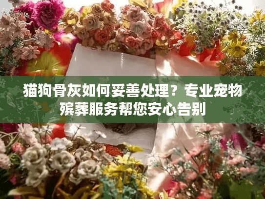 猫狗骨灰如何妥善处理？专业宠物殡葬服务帮您安心告别