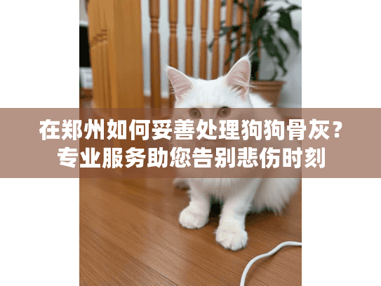 在郑州如何妥善处理狗狗骨灰？专业服务助您告别悲伤时刻