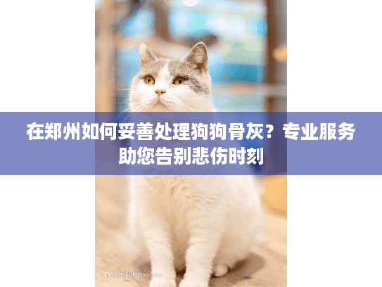 在郑州如何妥善处理狗狗骨灰？专业服务助您告别悲伤时刻