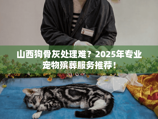 山西狗骨灰处理难？2025年专业宠物殡葬服务推荐！