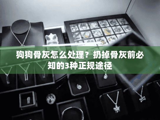 狗狗骨灰怎么处理？扔掉骨灰前必知的3种正规途径
