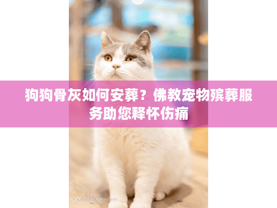 狗狗骨灰如何安葬？佛教宠物殡葬服务助您释怀伤痛