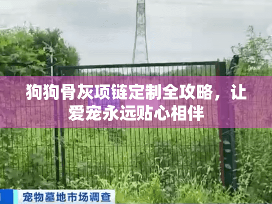 狗狗骨灰项链定制全攻略，让爱宠永远贴心相伴