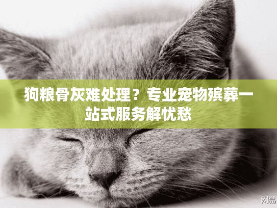 狗粮骨灰难处理？专业宠物殡葬一站式服务解忧愁