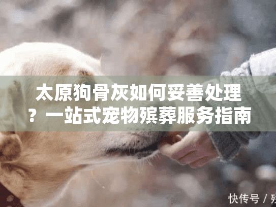 太原狗骨灰如何妥善处理？一站式宠物殡葬服务指南解答所有疑问