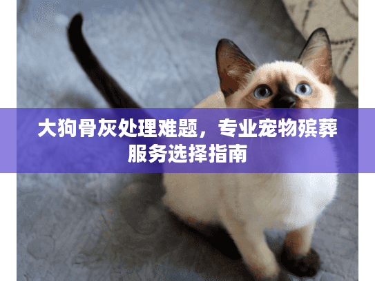 大狗骨灰处理难题,专业宠物殡葬服务选择指南 大狗骨灰处理难题,专业宠物殡葬服务选择指南