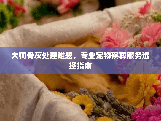 大狗骨灰处理难题,专业宠物殡葬服务选择指南 大狗骨灰处理难题,专业宠物殡葬服务选择指南