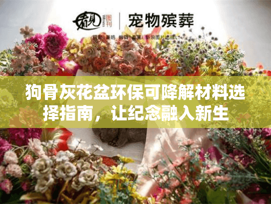 狗骨灰花盆环保可降解材料选择指南，让纪念融入新生
