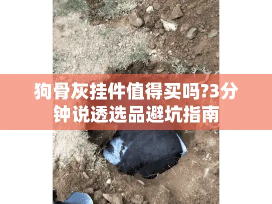 狗骨灰挂件值得买吗?3分钟说透选品避坑指南
