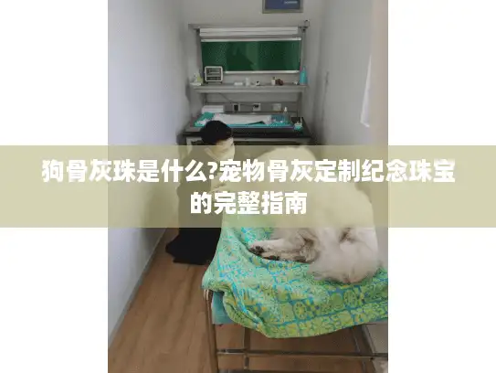 狗骨灰珠是什么?宠物骨灰定制纪念珠宝的完整指南